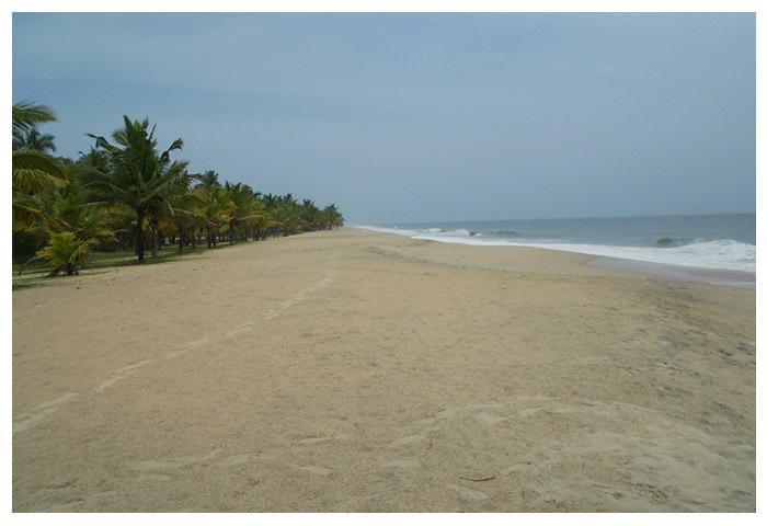 Marari Beach Paradise Mararikulam Exterior foto